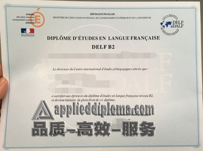 加急定制法语Delf证书：提升你的留学竞争力