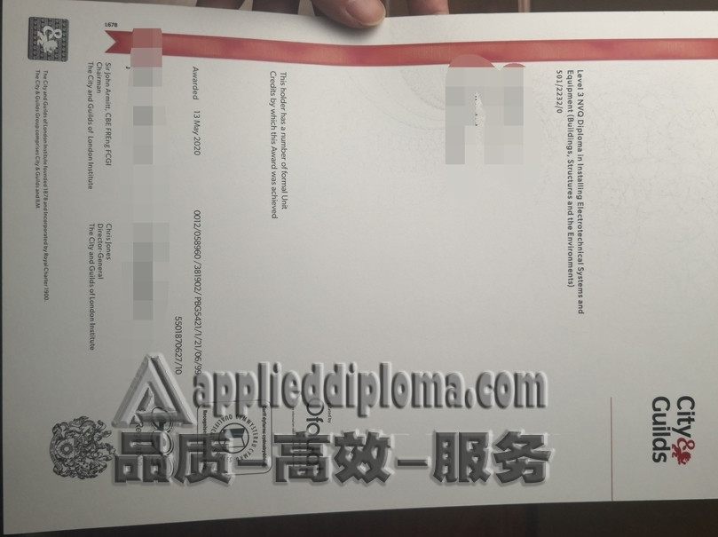 哪里可以买到英国电气技术系统和设备安装 3 级 NVQ 文凭？