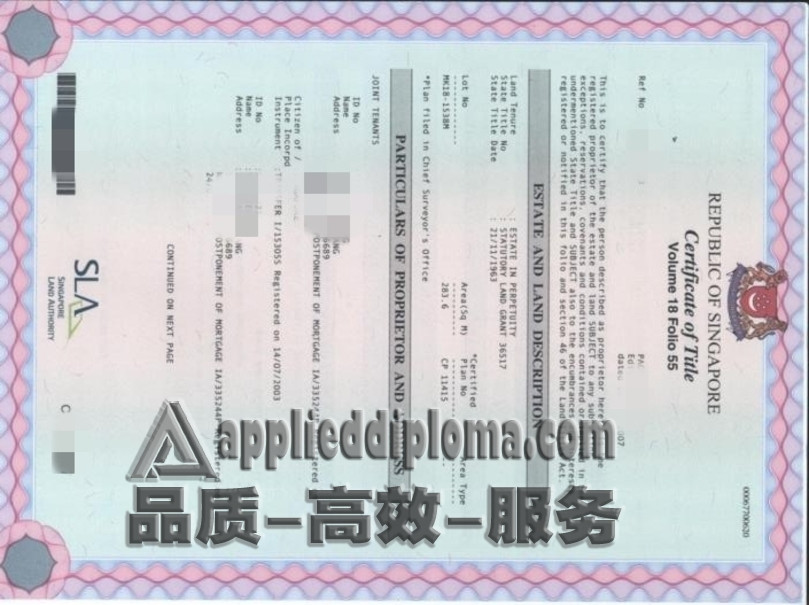 🏡 定制新加坡房产证：深入了解与选择指南