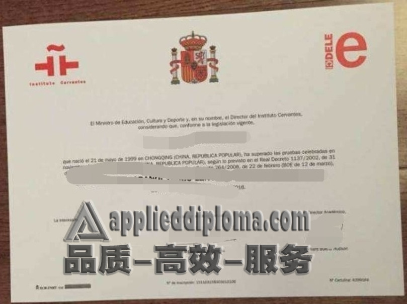 定做西班牙语水平证书B1：快速获得认证的途径