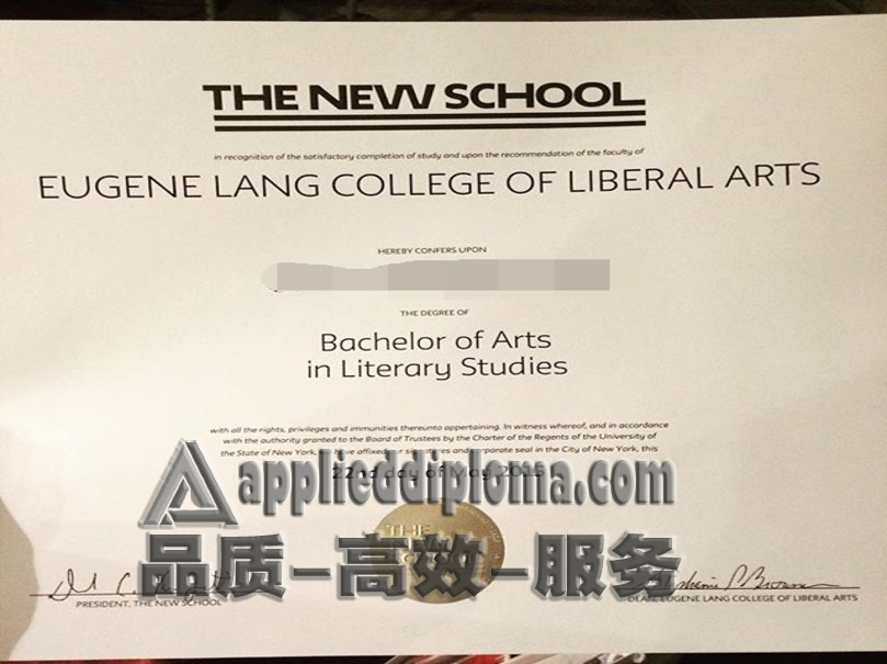 如何轻松制作尤金朗学院文凭：步骤详解