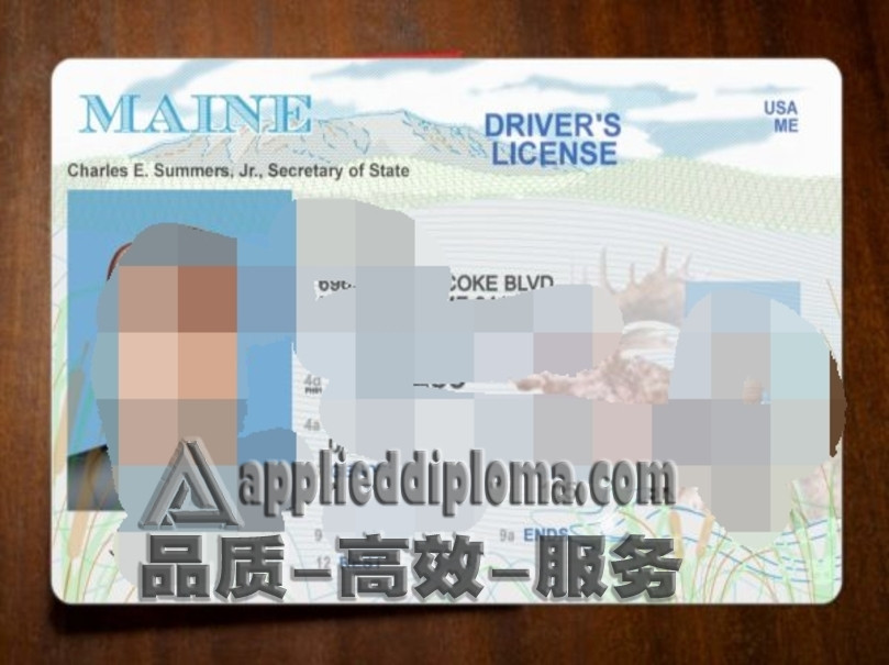 哪里可以买到缅因州驾驶执照？详解购买流程