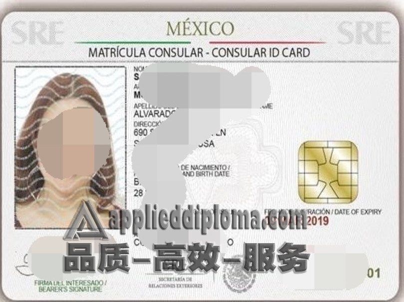 如何在线办理墨西哥ID身份证：详细步骤与注意事项